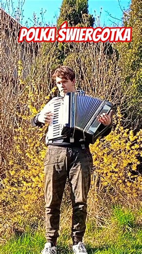 POLKA ŚWIERGOTKA #folkmusic #akordeon