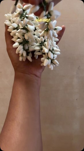 @craftopia_artisan on Instagram: "ಜಾಜಿ ಮಲ್ಲಿಗೆ  #craft #tissue #diy #madewithlove❤️ #flowers #varalakshmi"