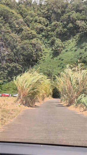 L'accès reste unique, la cascade évolue. Bienvenue à la cascade Niagara, Sainte Suzanne 🌹⚘️ #saintesuzanne #cascade #reunionisland #reuniontourisme #Reunion974 | Lili Guide Réunion