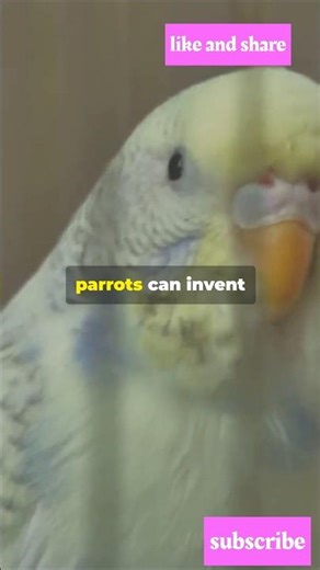 These Animal Brains Will Blow Your Mind! #facts