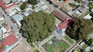 Aerial top view of Arbol del Tule next to a beautiful white church. World’s largest tree in the World - Tule Tree. Oaxaca, Mexico.
