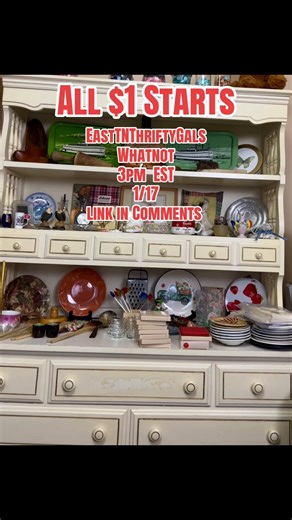 All one dollar starts. EastTNThriftyGals on what night January 17 3 PM Eastern time.##whatnotseller##easttnthriftygals##fyp##whatnot##resale