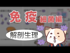 Immunity Part1 "A bacteria fighting system? Wut??" Macrophages, neutrophils, helperTs (&more) oh my!