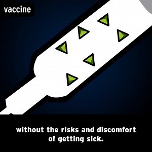 13 reactions | In today's Featured Movie, Tim and Moby discuss vaccines and how they work. 裂 Teach your class all about vaccines on BrainPOP: https://brnpop.co/3sZ0AzZ | BrainPOP | Facebook