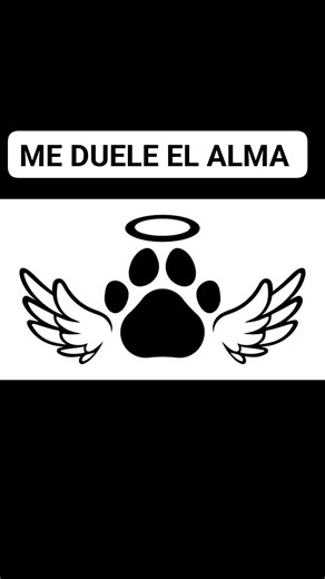 Quisiera ser mas fuerte. Pero solo soy una simple humana. Hoy simplemente me duele el alma 😔 | La Manada P-runa
