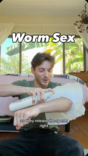 Basement Biology on Instagram: "Answering life’s most critical questions #worm #reproduction #stem"
