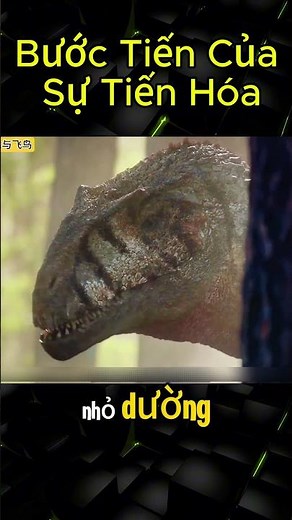 Bước Tiến Của Sự Tiến Hóa