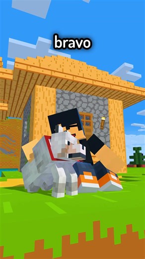 Minecraft: Le Due Esperienze Possibili 😂🔥😂 (Animazione)