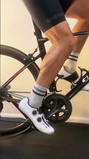Your trainer is calling... it said it misses you
