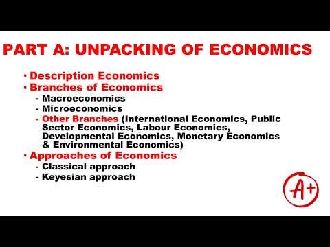 Grade 10 Economics Term 1| Macroeconomics| Basic Concepts| Unpacking Economics