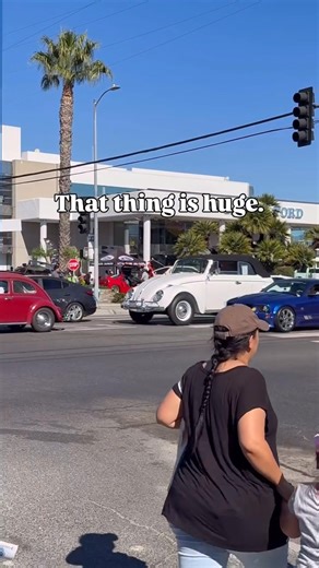 3.1K views · 37 reactions | Thats a big bug | Airplanes, Cars, Etc. | Facebook