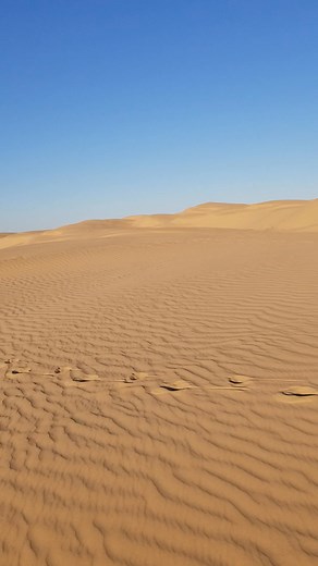 2.1M views · 7.3K reactions | The Imperial Sand Dunes, on the border of California, Arizona and Mexico - which are part of the larger Sonoran Desert. I have spent countless hours hiking this incredible landscape, usually with my boy Max. Sunrises and sunsets were awe-inspiring and sand storms could be intense. Those were definitely some of the best days of my life. | Time and Travels - Van L Aldridge | Facebook