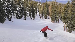 7 Guaranteed Ways To Stay Warm And Cozy This WInter Feeling the winter chill? Warm up with 7 guaranteed ways to get cozy – and save big – this February with the Four Sigmatic annual Winter Sale. It’s the perfect time to stock up on Mushroom Coffees, Elixirs, Superfood Blends, Hot Cacaos, and Stick Packs! 1. Take apres ski up a notch by whipping up a big batch of Reishi Spores with nut milk and honey and topping off with whipped coconut milk to please the crowd! Reishi supports relaxation so you 