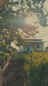 🌲🌲🌲 | Andee Veloso