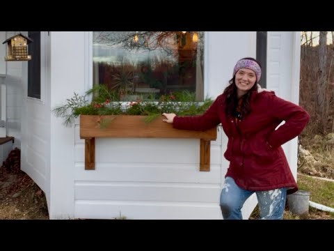 FINALLY ... my new WINDOW BOX with my Mileesey S50! 😍 | Happy Thanksgiving!!!