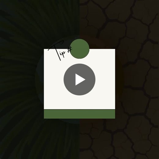 #chandlerparklandscaping #microclimatedesign #landscapearchitecture #seqgardening #sustainablehorticulture #climatesmartlandscaping | Chandler Park Landscaping