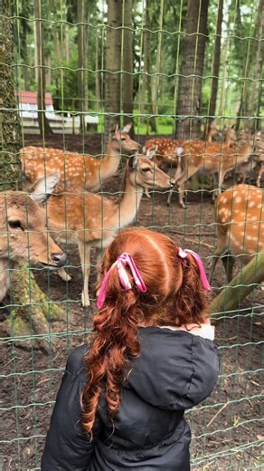 user48955155611 on TikTok