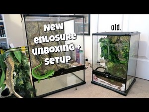 HUGE CRESTED GECKO ENCLOSURE UPGRADE🦎💚