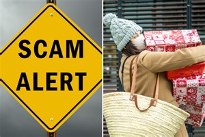 Warning Black Friday shoppers in danger of scams -here's how to spot a fake deal