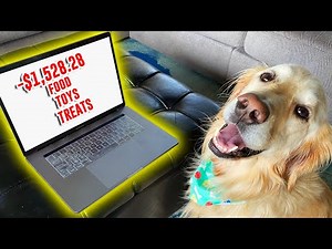 MASSIVE SPENDING SPREE ON OUR DOGS!