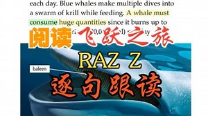 RAZ Z·84本(全)丨总词汇：169120词【阅读丨飞跃之旅·蓝标RAZ】