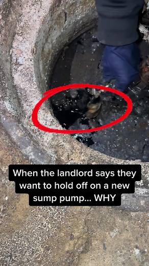 Dealing with Sump Pump Emergencies | 1Tom Plumber