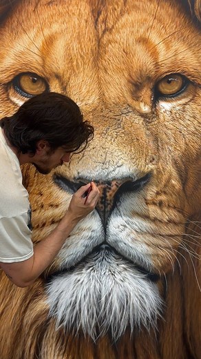 The finishing touches on my newest 5ft Lion Painting 🎨🦁🖌️🤙🏻 Amazing reference image by @pascalmaranus 🙏🏻📷 #hyperrealism #art #lion #painting #creative #artwork #artist #artsy #artistsoninstagram #nicksider | Nick Sider