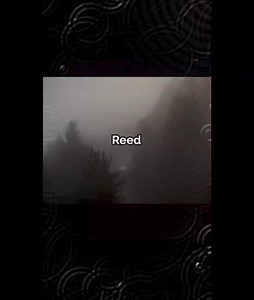 47K views · 688 reactions | INCREDIBLE Alien ENCOUNTER #aliens | All Spooki | Facebook