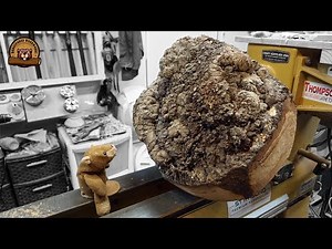 Woodturning - Giant Oak Burl