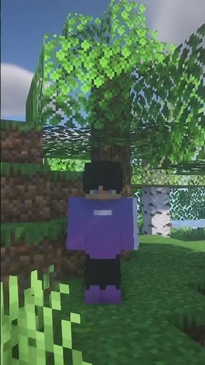 Minecraft #Shorts : How to make Minecraft Shaders Less Laggy. BSL AND SEUS NO LAG! 30 FPS TO 60 FPS!
