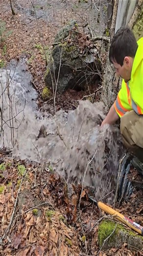 Unclogging Thirsty Tree Culvert Raw Footage #beaverdamremoval #drain #dam #uncloggingdrains #beavers #culvert #beaverdam #unclogging #cleaning #foryou | R. Beato