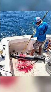 Gaffing a Monster Wahoo! (Pure Chaos) #Fishing #Wahoo #BigGameFishing #Gaff