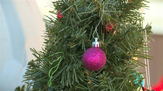 City of La Crosse Christmas tree collection