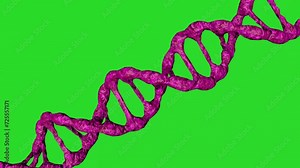 Pink DNA molecules animation on a green background. . Biotechnology, biochemistry, genetics and medicine concept. DNA chain. 3D animation.