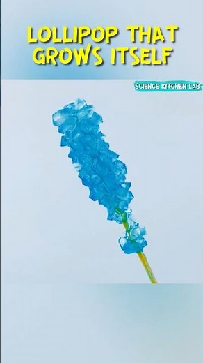How to Grow Your Own Lollipop | Edible Science Experiment for kids #experiment #crystals #science