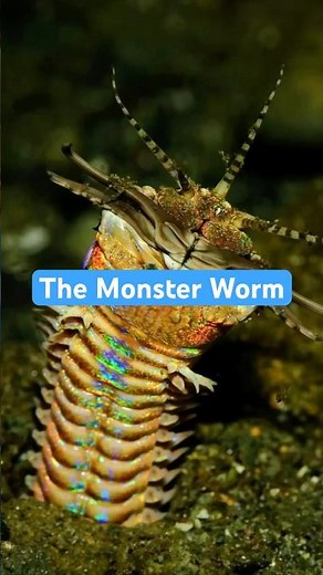 This Worm Hunts Like a Horror Movie Monster