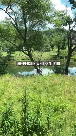 The person who sent you this wants to take a scenic ride through the Blue Ridge Mountains. Your only job? Show up, sit back and enjoy the ride. 🌸 Our spring rides kick off tomorrow so head to our website to grab your tickets today! | Blue Ridge Scenic Railway