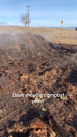 The Compost Chick on Instagram: "Moving piles this week! #thecompostchick #loveoverlandfill #reducingwasteimprovingsoils #powerofthepinkbucket #chickencomposting"