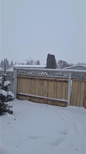 Blizzard December 17 #2025 #snow #weather #nature #shorts