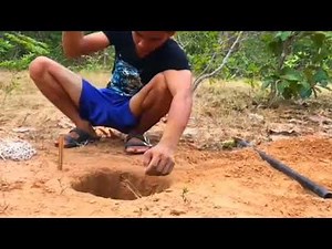 Amazing_Monkey_Trapping_Video_Very_Easy_Monkey_Trap_Making_Animals.Monkey Trap With Net