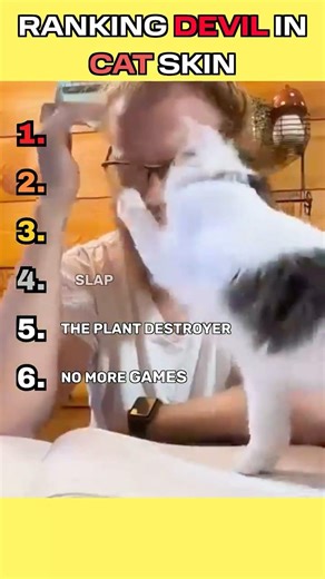 Ranking Devil in Cat Skin