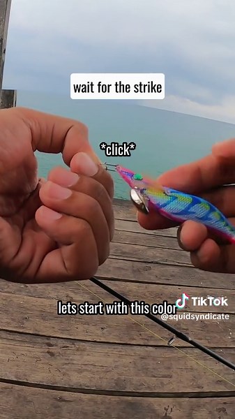 the last part 🤭 #fishing #エギング #eging