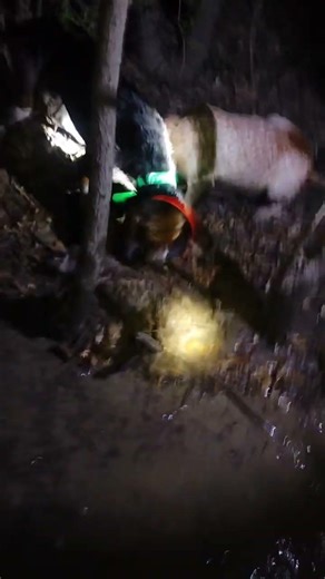 one fast coon hunting night I'm only 15 I'm starting a chanel of hunting and how we do it