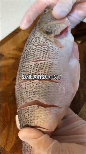 Clean Fish Like a Pro First Catch, First Clean! 🦈🐟 Part 2 #FishCleaning #FishingLife#shorts