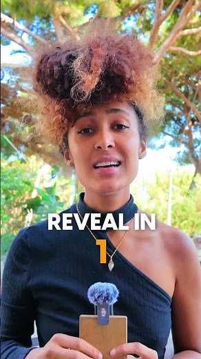 Weird Words in Dutch : Vogelbekdier