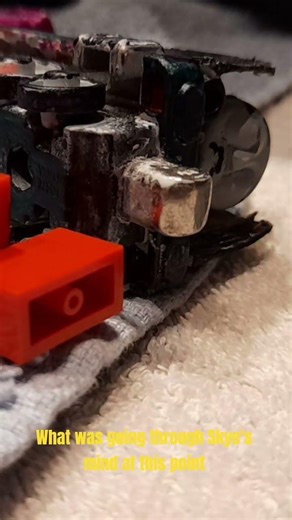 Skye's mind when she crashed into the sea #funny #animation