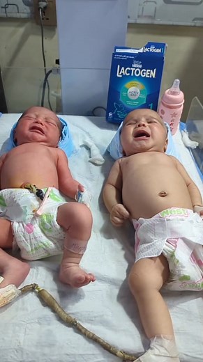 22K views · 524 reactions | twins baby care Soon, your baby will be in your arms ❤️ : : : : : : #baby #newborn #fblifestyle | Boom Boom Studio Babies | Facebook