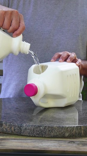 DIY Milk Jug Hydroponics: Easy Plant Care Tips