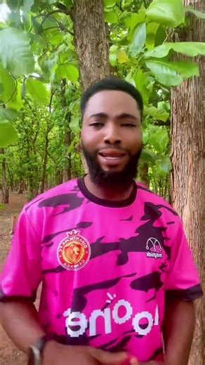 Living a Life Without Money: Insights and Reflections