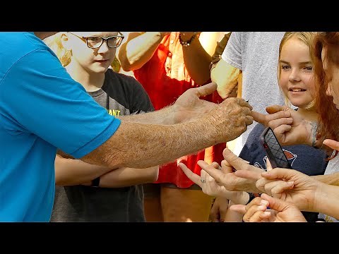 "To Catch a Hummingbird"